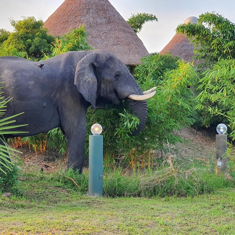 Tilenga Safari Lodge Arua Kültér fotó